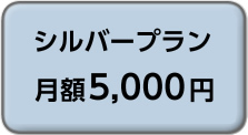 シルバープラン 月額5,000円