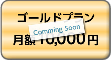 ゴールドプラン 月額10,000円