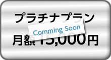 プラチナプラン 月額15,000円